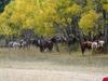 Caribou Ranch