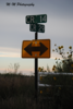 Road Signs