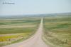 Road and Field